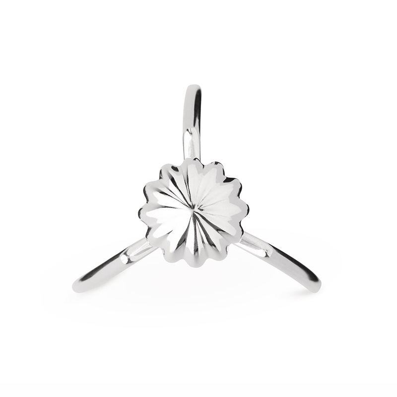 Accessoire de cuisine Presse-agrumes JUICY SALIF Chrome ALESSI