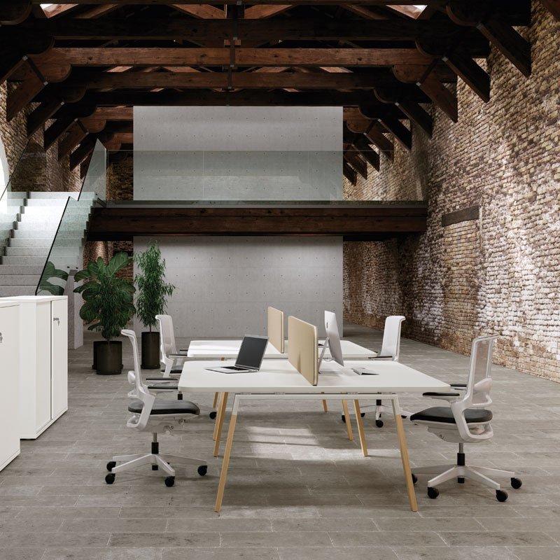 Bench ATREO WOOD Bench Blanc/ chêne SILVERA PRO