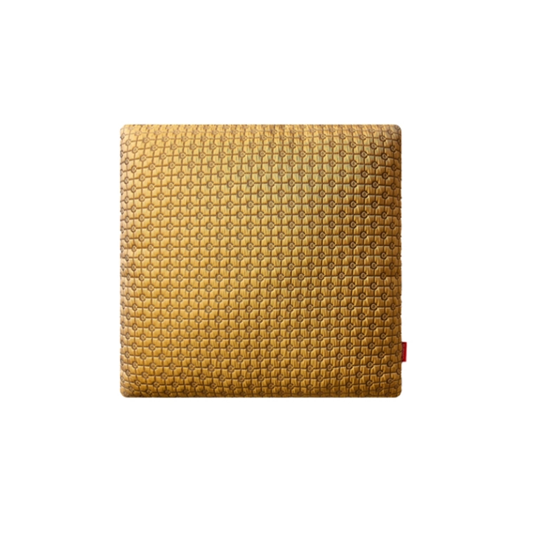 Coussin Coussin ROOD FRAME Doré CASSINA