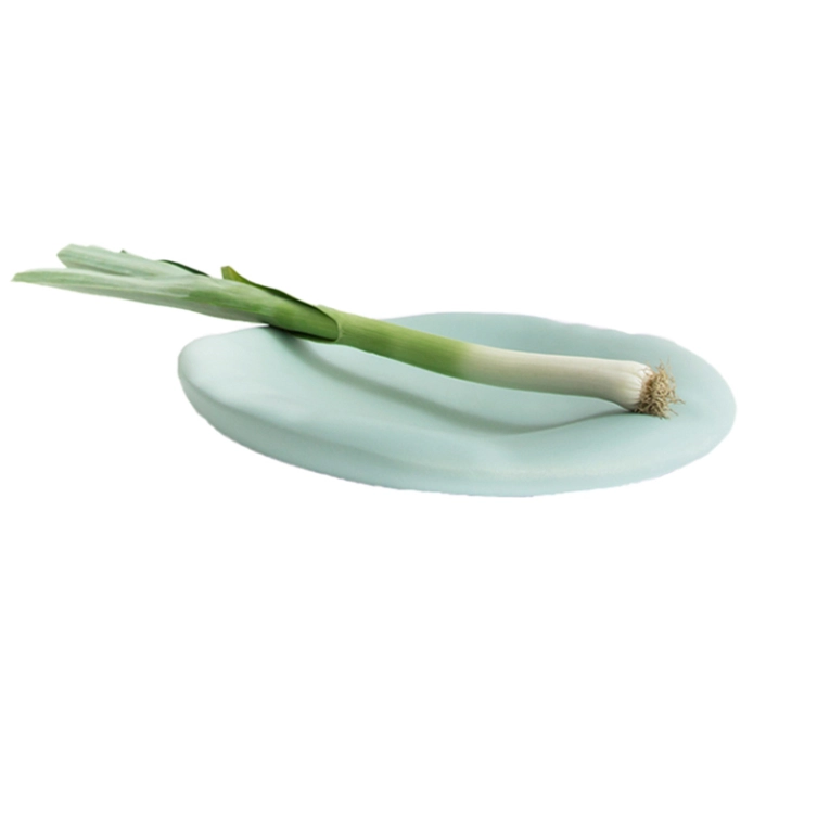 Centre de table & corbeille Coupe CANOVA Large Menthe MOUSTACHE