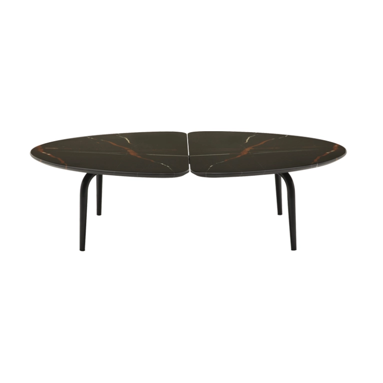 Table basse GRAPHIUM 140x60 Marbre Sahara noir ZANOTTA